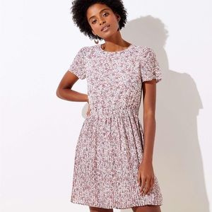 NWOT Loft Plus Garden Pleated Flare Dress